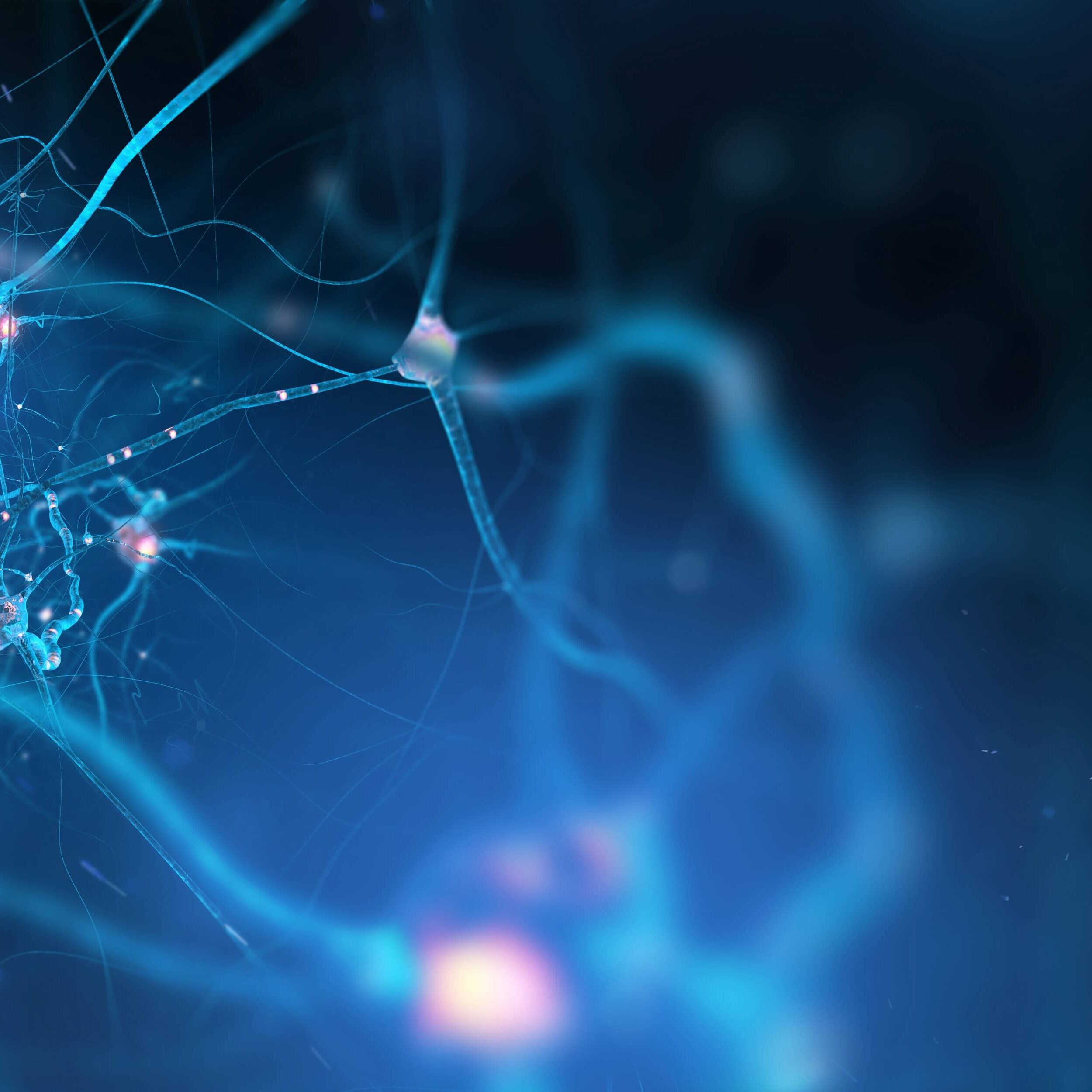 5.1) neurociência