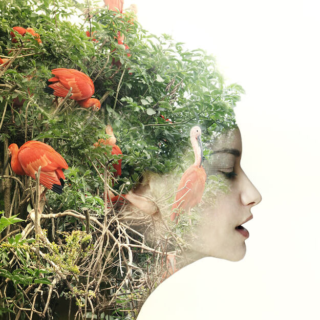 Nature in woman's head
